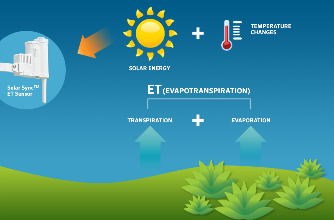 Graphic showing evapotranspiration