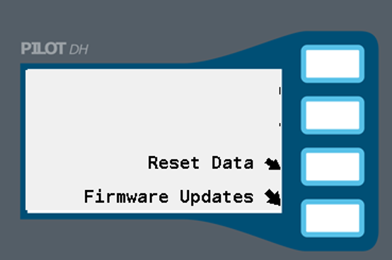 Immagine che mostra l'opzione Reset dati.