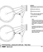 CAD - PLD Tree Ring thumbnail